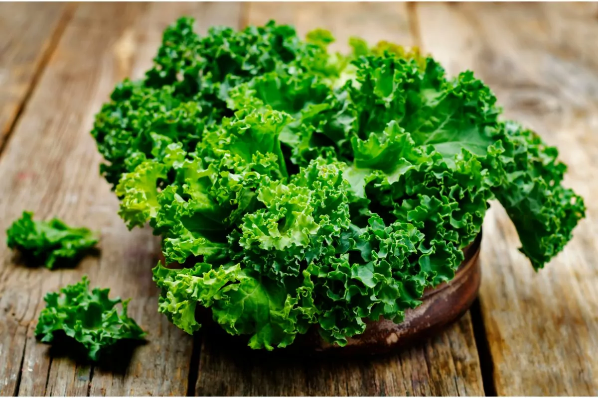 12 Best Vegan Kale Recipes To Try Today