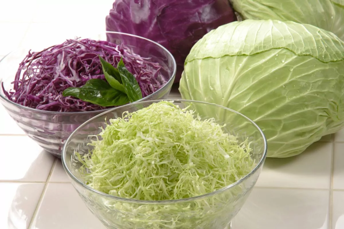 10 Best Vegan Cabbage Recipes You Need To Try
